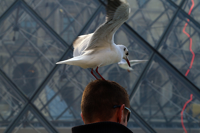 L'instantané