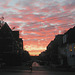 Morning Glory