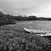 Black Sand Beach, Punalu'u