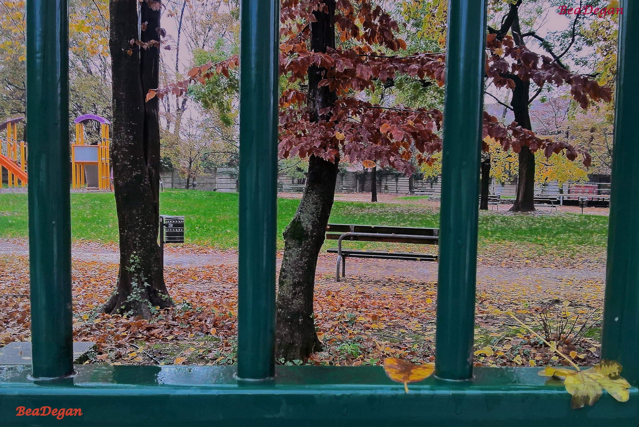 In the Cold November Rain :-) -HFF to you All