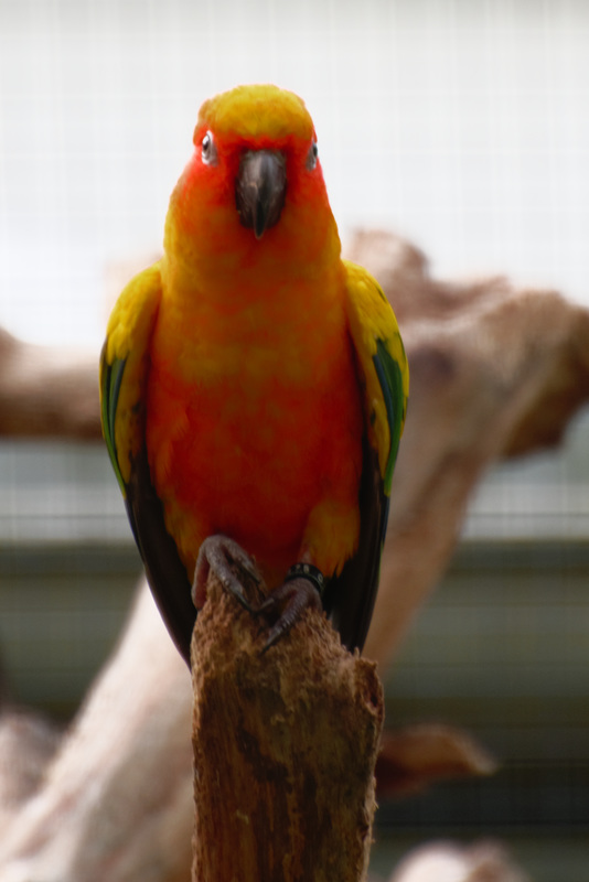 20230903_bayrischer Nationalpark und Tierpark Straubing