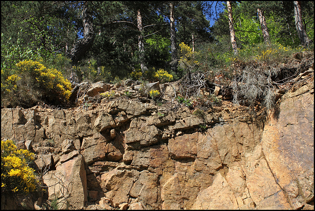 Granite et ses habitantes (2)