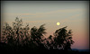 lune en coup de vent