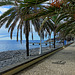 Strandpromenade Santa Cruz (© Buelipix)