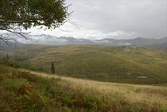 Parque Nacional da Peneda-Gerês