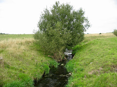 Blower Brook