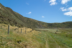 Neuseeland - Wainuiomata