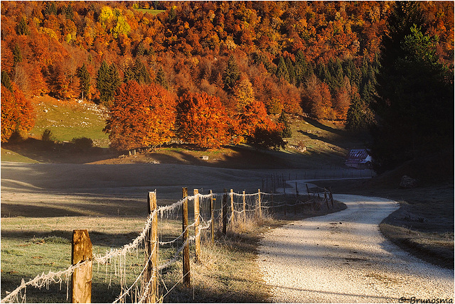 Verso i colori autunnali.