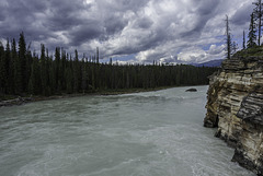 am Athabasca River (© Buelipix)