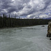 am Athabasca River (© Buelipix)