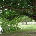 France - Abbeville,  Jardin de l’Hôtel d'Emonville