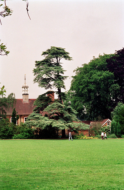 Oxford (1993)