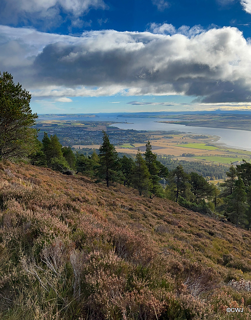 The Cromarty Firth