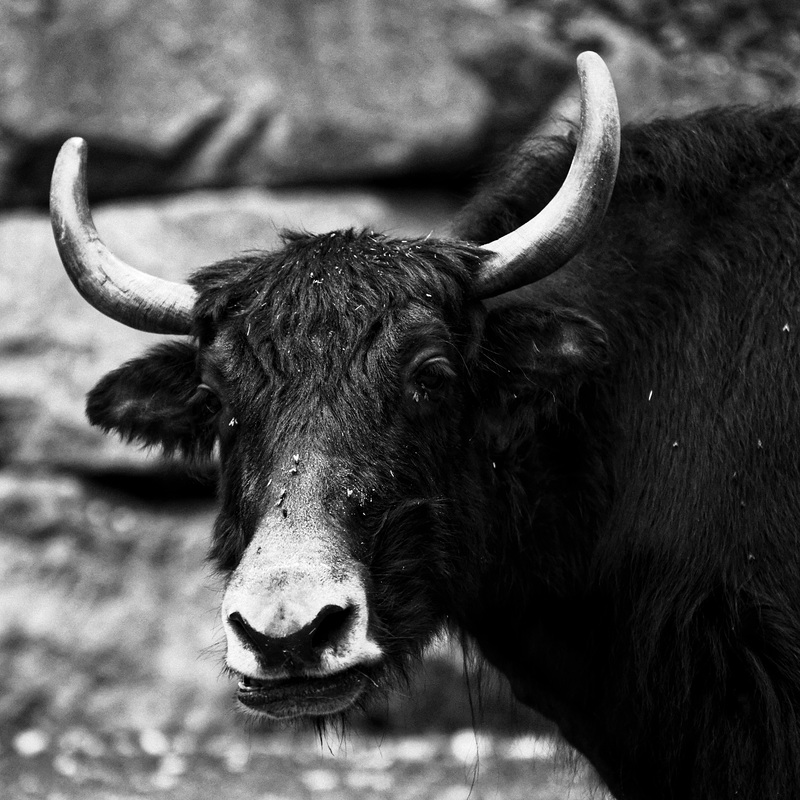 20230903_bayrischer Nationalpark und Tierpark Straubing