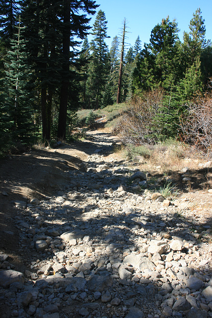 USFS Road 03