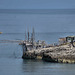 Trabucco. Costa garganica