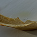DSC3810