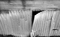 Found abstract
