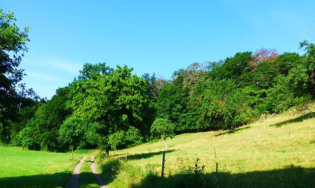 DE - Andernach - Auf dem Höhlen- und Schluchtensteig