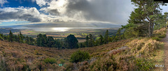 Panorama of the Cromarty Firth from the Fyrish Monument