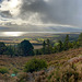 Panorama of the Cromarty Firth from the Fyrish Monument