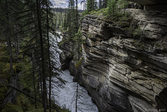 bei den Athabasca Falls (© Buelipix)