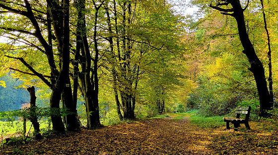 Entlang der Nister, Naturschutzgebiet, HBM