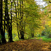 Entlang der Nister, Naturschutzgebiet, HBM