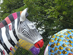 Zany Zebras On Parade_018 - 12 July 2016