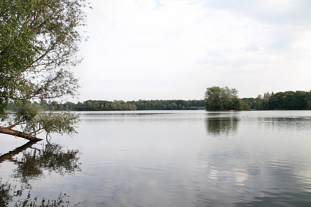 Toeppersee (Duisburg-Rumeln-Kaldenhausen) / 22.09.2017