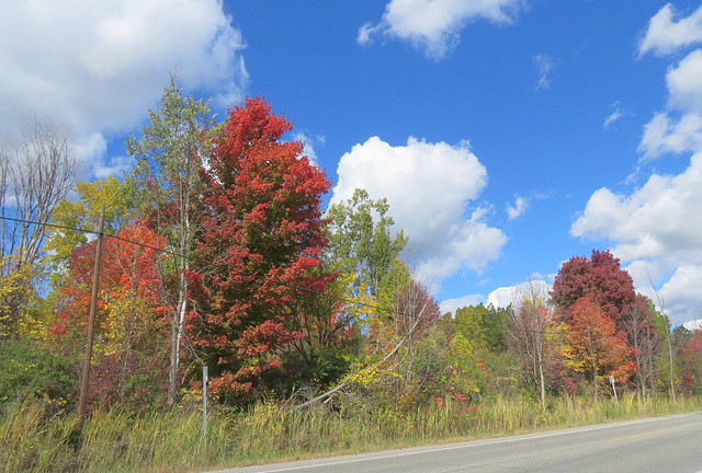 True October colors in Michigan.