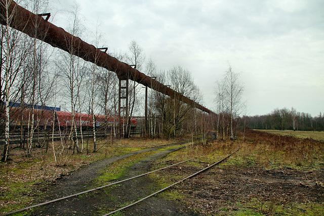 Zeche Friedrich Thyssen 4/8, Gichtgasleitung und Gleisreste (Duisburg-Beeck) / 8.02.2020