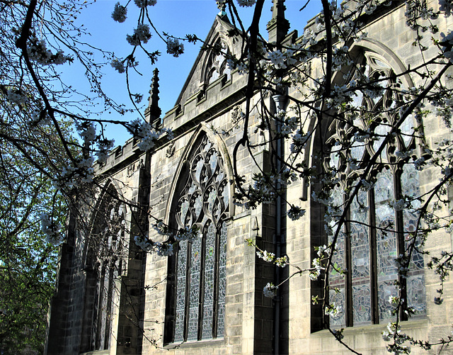 Ancient walls & blossom.