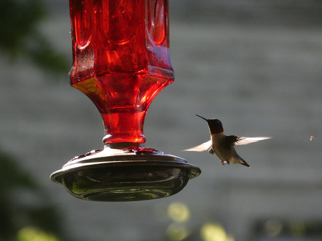 These guys are endlessly fascinating.