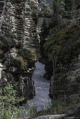 Athabasca Falls (© Buelipix)