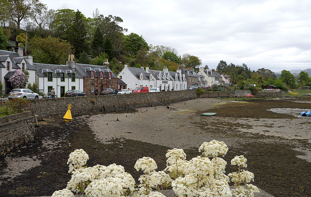 Plockton