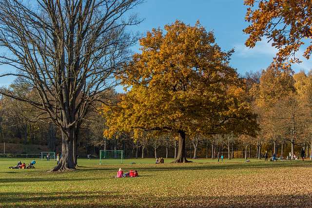 Küchwaldfestwiese im Herbst