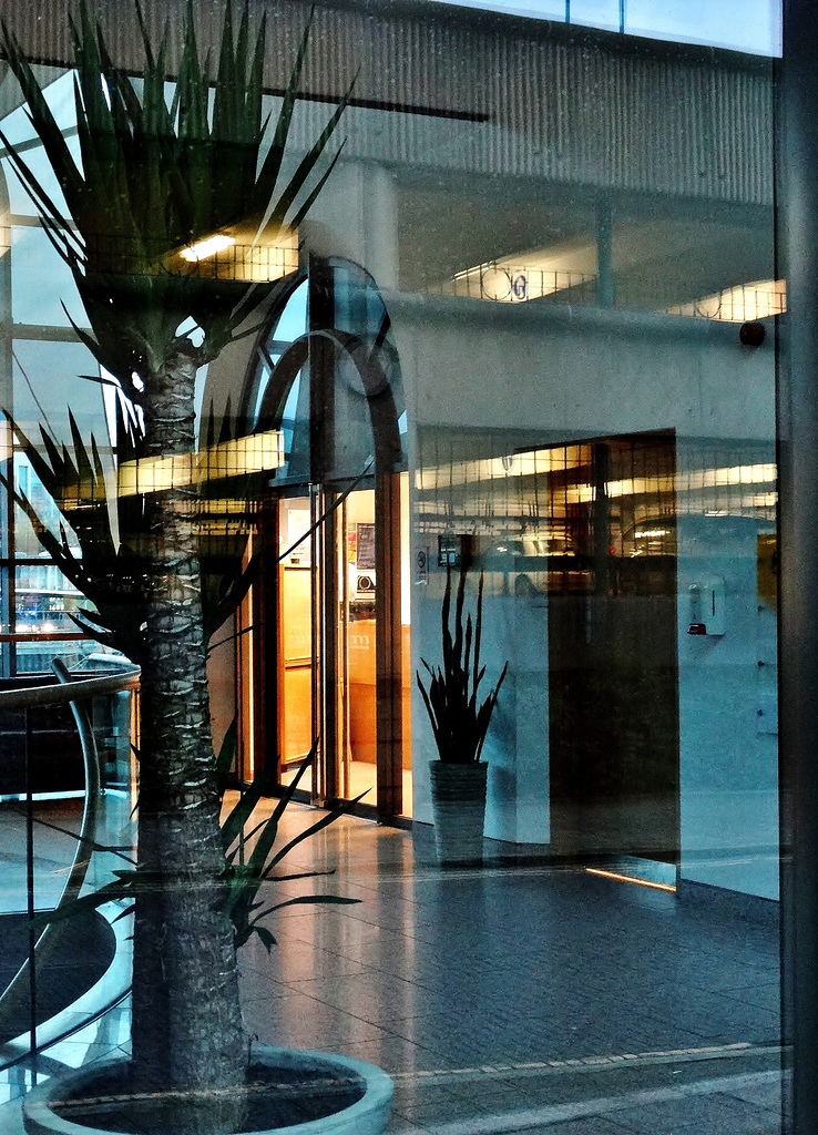 Looking right through.....reflecting right back 2