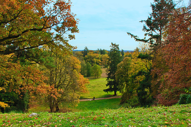 Landschaft bei Burg Schlitz