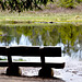 Lac de Lispach Vosges