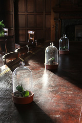 Bottle jars