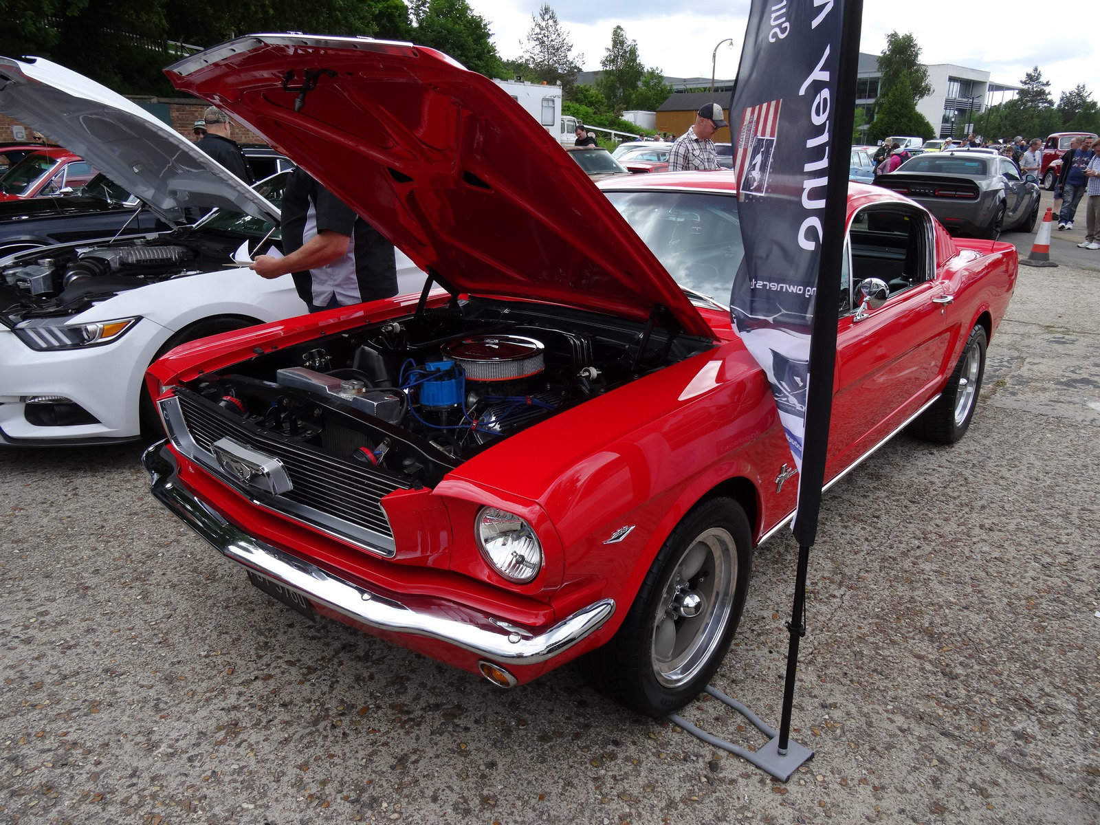 mmabmay292022 (1048)