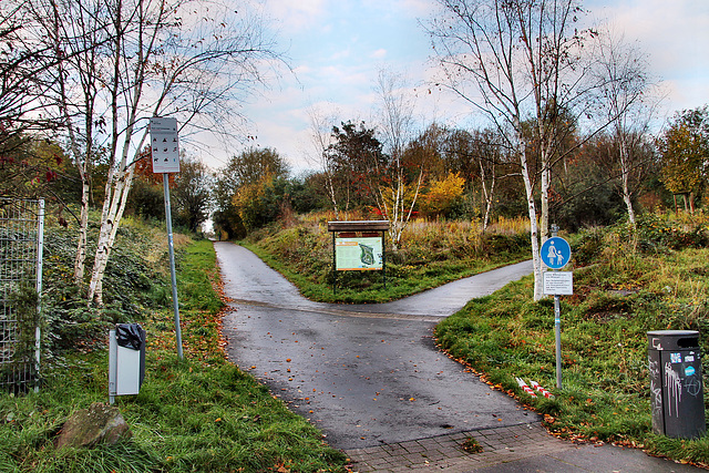 Wege zum Tippelsberg (Bochum-Riemke) / 11.11.2023