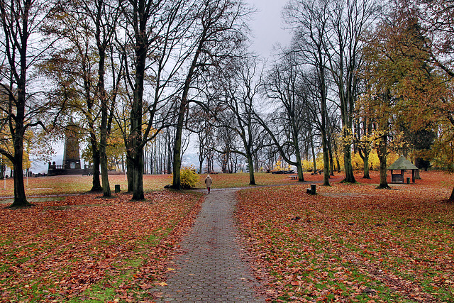 Herbstlicher Park auf dem Hohenstein (Witten) / 26.11.2023