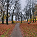 Herbstlicher Park auf dem Hohenstein (Witten) / 26.11.2023