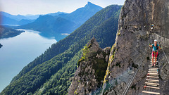 Rope Bridge Within The 'Drachenwand'