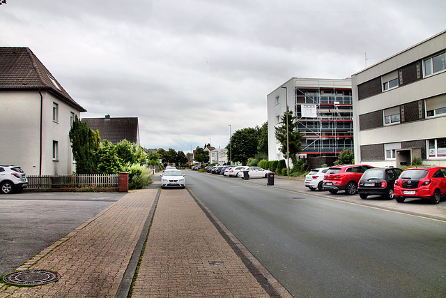 Menzelstraße (Hamm-Westtünnen) / 6.07.2024