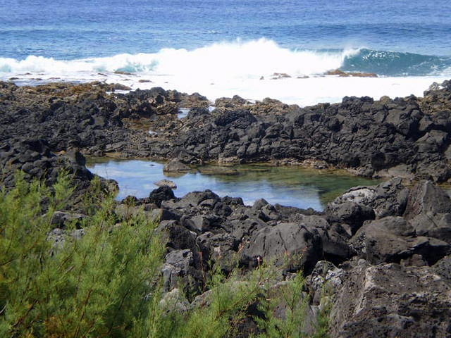 Puddle in rocky coast.