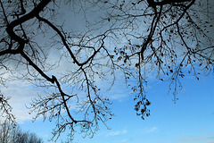 un ciel de novembre