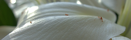 DSC3826